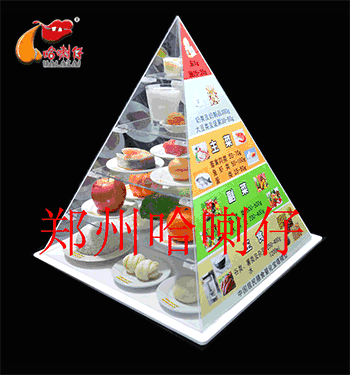 電動旋轉(zhuǎn)款膳食寶塔模型